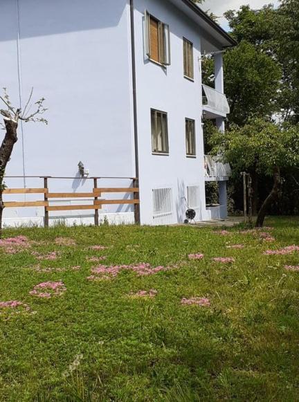 Grappaland Apartment Crespano del Grappa Екстериор снимка